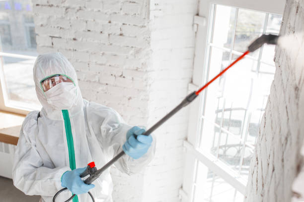 Best Real Estate Mold Inspection  in Mountain Lake, MN