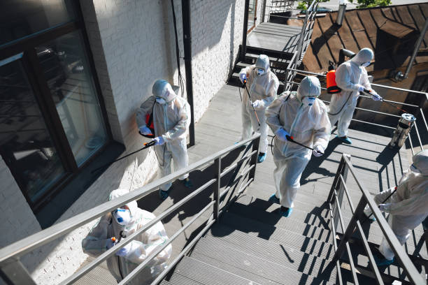 Best Environmental Consulting for Mold Prevention  in Mountain Lake, MN